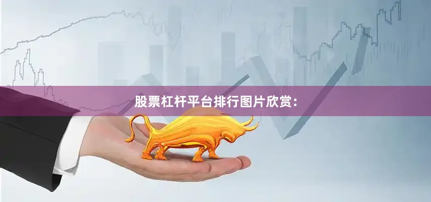 股票杠杆平台排行图片欣赏：